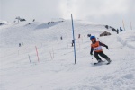 DSC05995.jpg