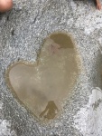 IMG_5776.JPG