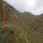 IMG-20200923-WA0005.jpg